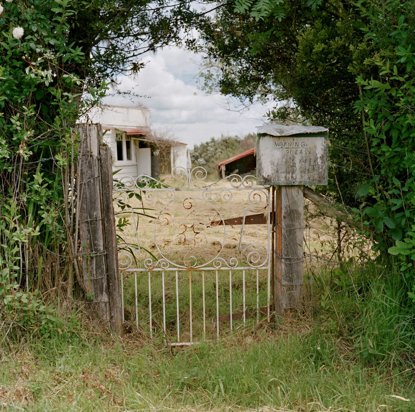 Former residence of Joseph Divis, photographer and miner (uninhabited), Waiuta, December 2011